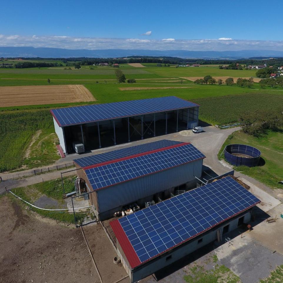 Panneaux photovoltaïques exploitation agricole Fribourg